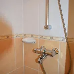 Sari *